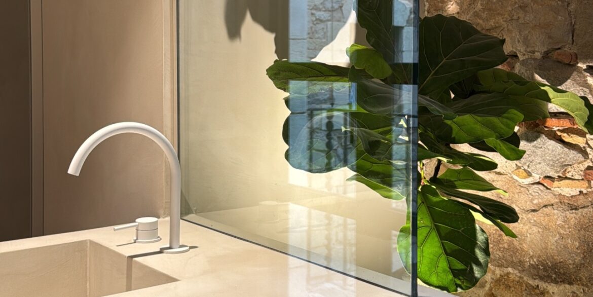 Proyecto ciudadano 11